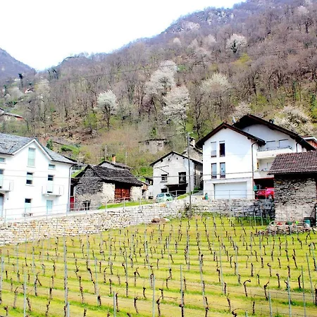 Bed & Breakfast Notari *